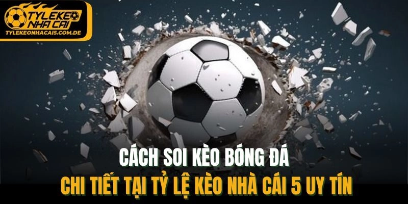 Cách Soi Kèo Bóng Đá Chi Tiết Tại Tỷ Lệ Kèo Nhà Cái 5 Uy Tín