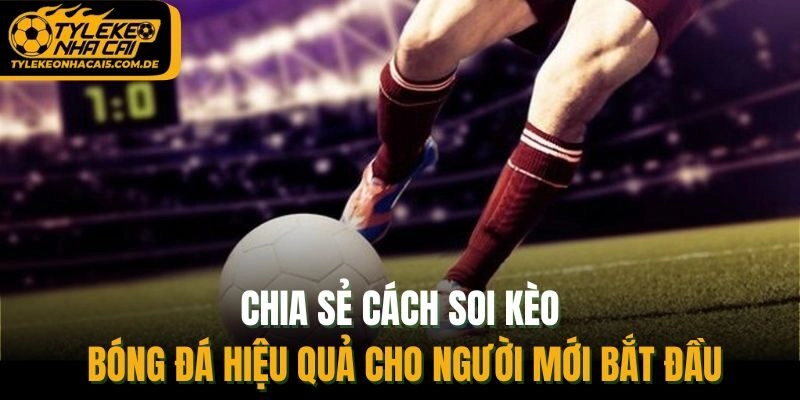 Chia sẻ cách soi kèo bóng đá hiệu quả cho người mới bắt đầu